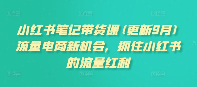 小红书笔记带货课(更新25年5月)流量电商新机会，抓住小红书的流量红利-小艾网创
