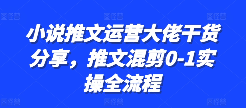 小说推文运营大佬干货分享，推文混剪0-1实操全流程-小艾网创