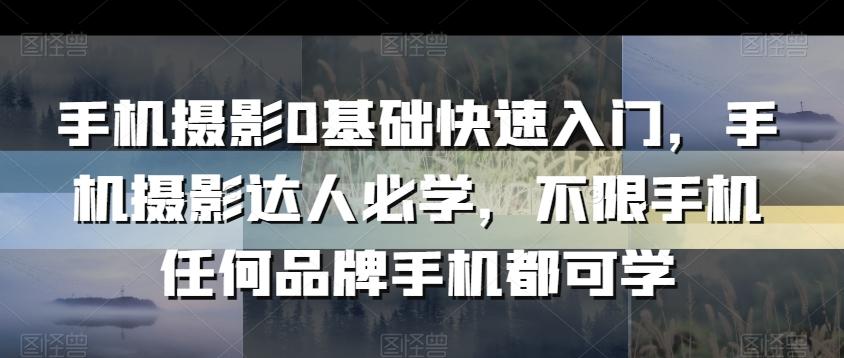 手机摄影0基础快速入门，手机摄影达人必学，不限手机任何品牌手机都可学-小艾网创