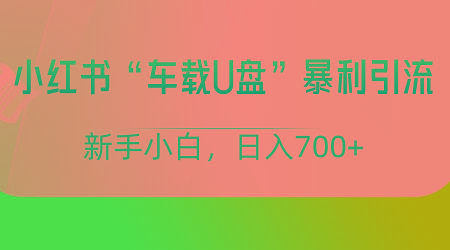 小红书“车载U盘”项目，暴利引流，新手小白轻松日入700+-小艾网创