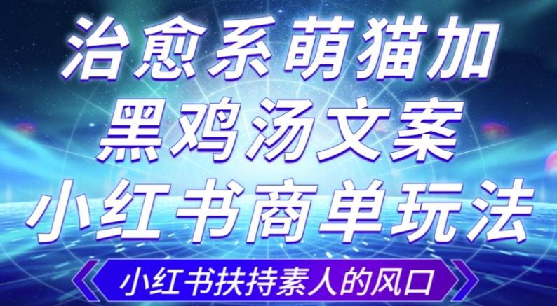 治愈系萌猫加+黑鸡汤文案，小红书商单玩法，3~10天涨到1000粉，一单200左右-小艾网创