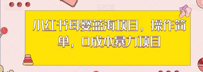 小红书母婴蓝海项目，操作简单，0成本暴力项目-小艾网创