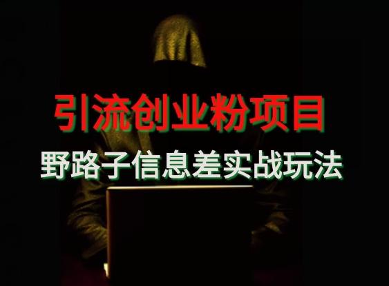 【引流创业粉】野路子信息差玩法实战教学-小艾网创