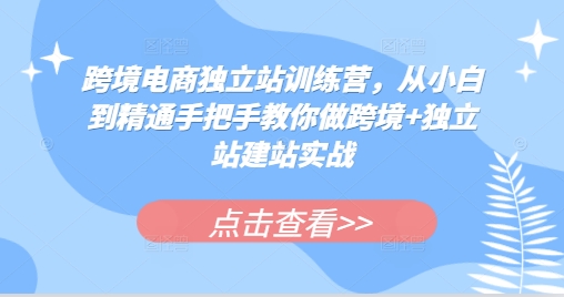 跨境电商独立站训练营，从小白到精通手把手教你做跨境+独立站建站实战-小艾网创