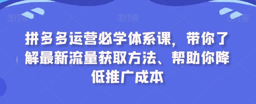 拼多多运营必学体系课，带你了解最新流量获取方法、帮助你降低推广成本-小艾网创