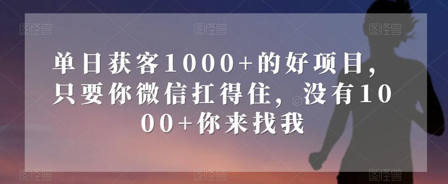 单日获客1000+的好项目，只要你微信扛得住，没有1000+你来找我【揭秘】-小艾网创