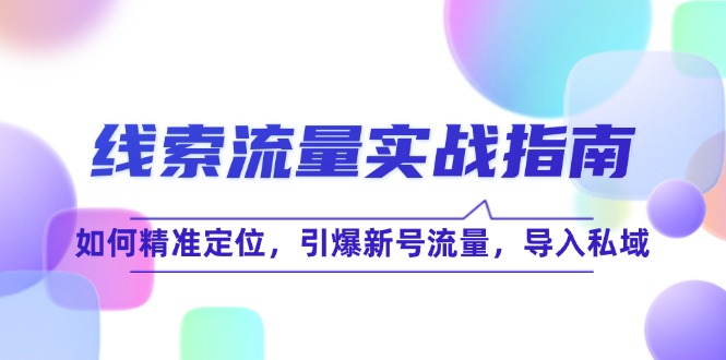 线 索 流 量-实战指南：如何精准定位，引爆新号流量，导入私域-小艾网创