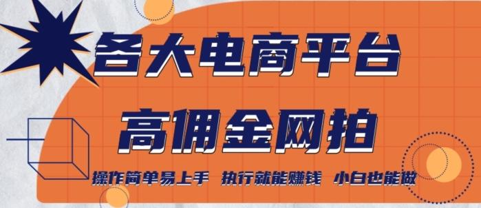 各大电商平台高佣金网拍，操作简单易上手，执行就能赚钱，小白也能做-小艾网创