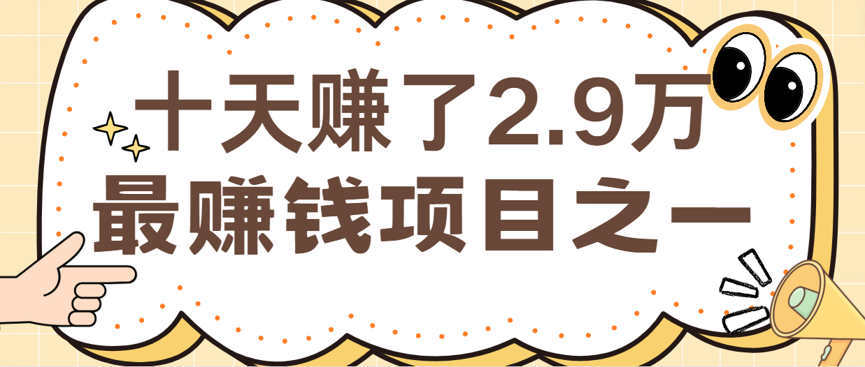 闲鱼小红书最赚钱项目之一，纯手机操作简单，小白必学轻松月入6万+-小艾网创