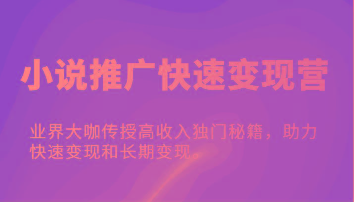 小说推广快速变现营-业界大咖传授高收入独门秘籍，助力快速变现和长期变现。-小艾网创