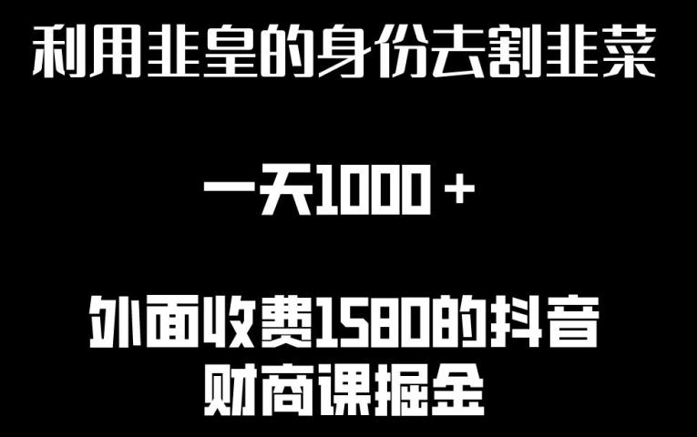 利用非皇的身份去割韭菜，一天1000+(附详细资源)【揭秘】-小艾网创