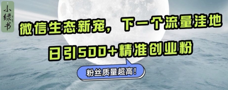 微信生态新宠小绿书：下一个流量洼地，日引500+精准创业粉，粉丝质量超高-小艾网创