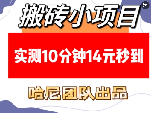 搬砖小项目，实测10分钟14元秒到，每天稳定几张(赠送必看稳定)-小艾网创