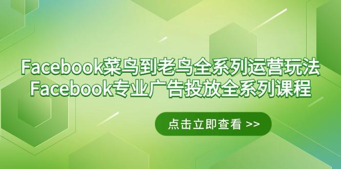 Facebook-菜鸟到老鸟全系列运营玩法+Facebook-专业广告投放全系列课程-小艾网创