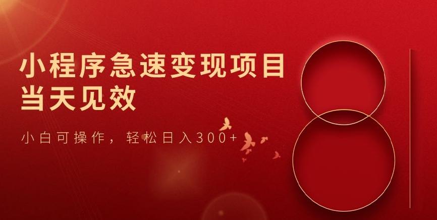 小程序急速变现项目，当天见效，小白可操作，轻松日入300+-小艾网创