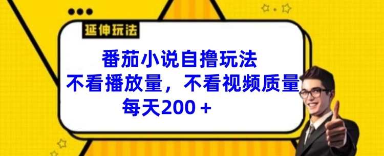 番茄小说自撸玩法，不看播放量，不看视频质量，每天200+【揭秘】-小艾网创