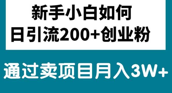 新手小白日引流200+创业粉,通过卖项目月入3W+-小艾网创