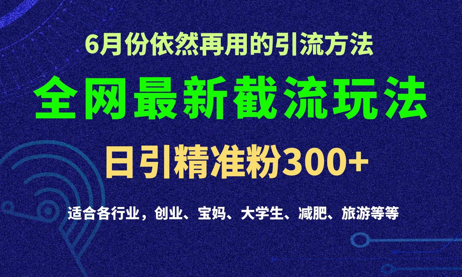 2024全网最新截留玩法，每日引流突破300+-小艾网创