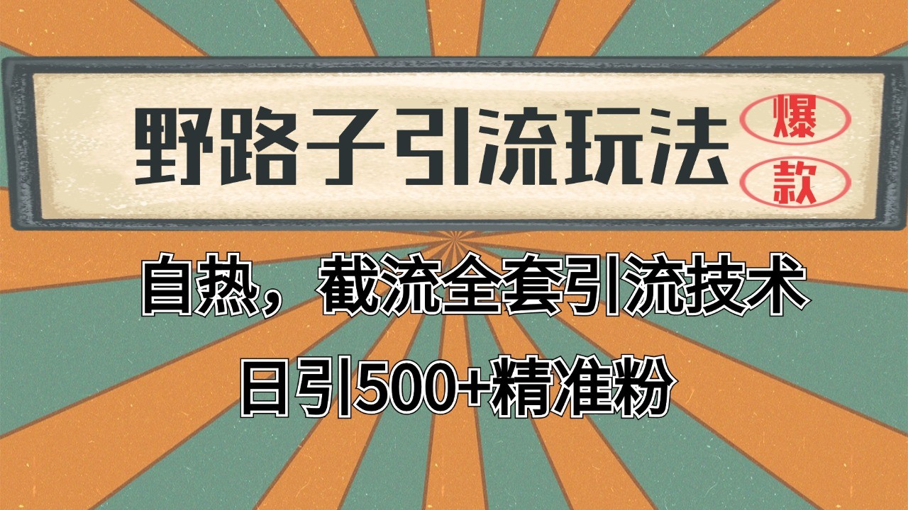 2024首发野路子引流玩法截流自热全平台打法，全自动引流【日引2000+精准客户】-小艾网创