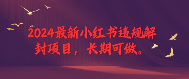 2024最新小红书违规解封项目，长期可做，一个可以做到退休的项目【揭秘】-小艾网创