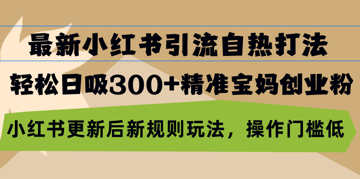 最新小红书引流自热打法，轻松日吸300+精准宝妈创业粉，小红书更新后新…-小艾网创