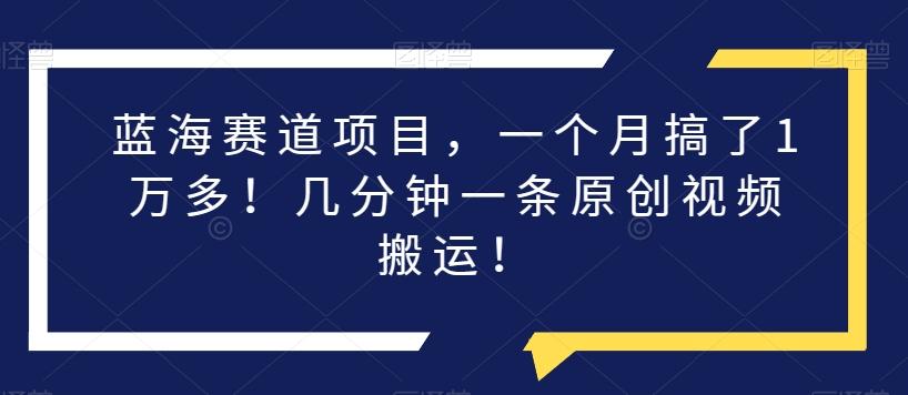 蓝海赛道项目，一个月搞了1万多！几分钟一条原创视频搬运！-小艾网创