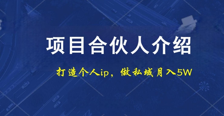 项目合伙人项目，打造个人IP，做私域月入5W，小白勿扰-小艾网创