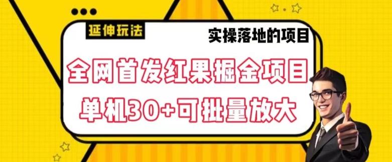 全网首发红果免费短剧掘金项目，单机30+可批量放大【揭秘】-小艾网创