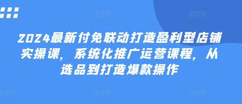 2024最新付免联动打造盈利型店铺实操课，​系统化推广运营课程，从选品到打造爆款操作-小艾网创