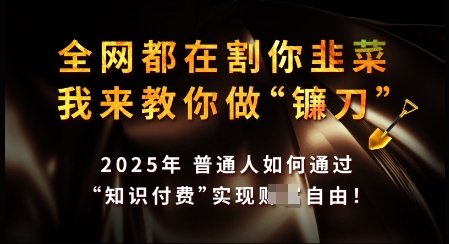 知识付费如何做到月入过W+，2025我来教你做“镰刀”【揭秘】-小艾网创