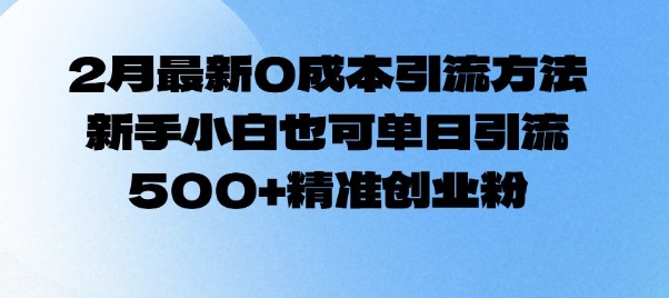 2月最新0成本引流方法，新手小白也可单日引流500+精准创业粉-小艾网创