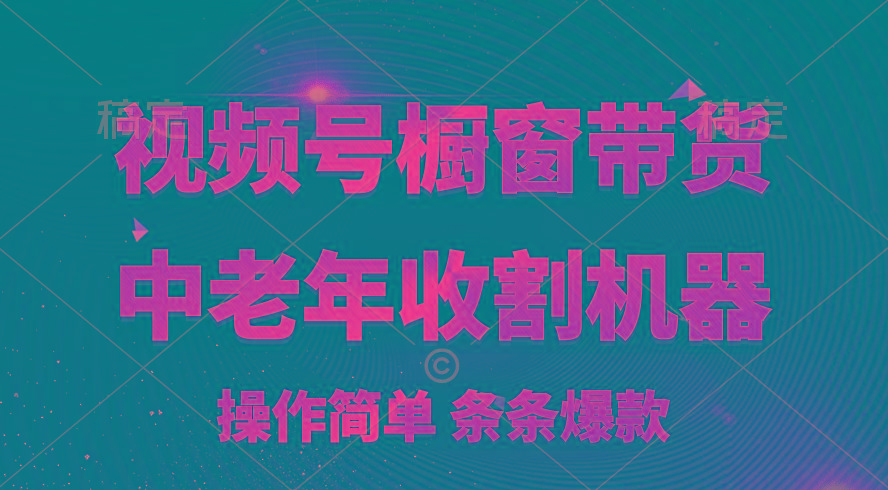 [你的孩子成功取得高位]视频号最火爆赛道，橱窗带货，流量分成计划，条…-小艾网创