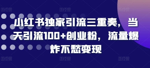 小红书独家引流三重奏，当天引流100+创业粉，流量爆炸不愁变现【揭秘】-小艾网创