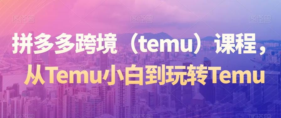 拼多多跨境（temu）课程，从Temu小白到玩转Temu-小艾网创