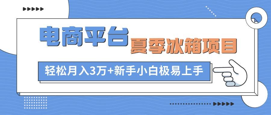 电商平台夏季冰箱项目，轻松月入3万+，新手小白极易上手-小艾网创