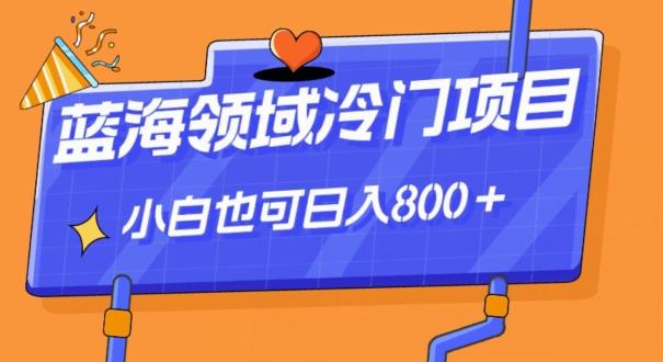 蓝海领域冷门赛道，一单39.9，日入800＋-小艾网创