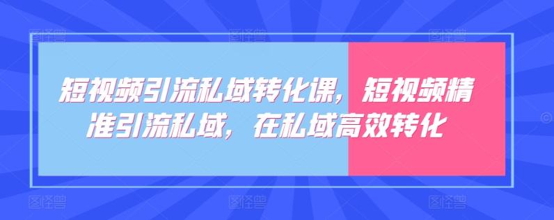 短视频引流私域转化课，短视频精准引流私域，在私域高效转化-小艾网创