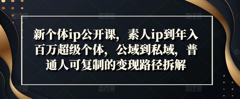 新个体ip公开课，素人ip到年入百万超级个体，公域到私域，普通人可复制的变现路径拆解-小艾网创