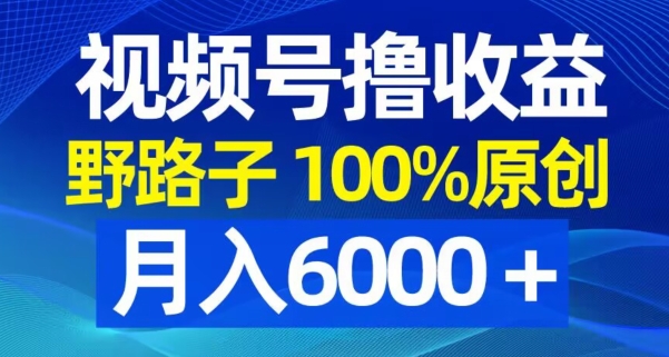 视频号野路子撸收益，100%原创，条条爆款，月入6000＋【揭秘】-小艾网创