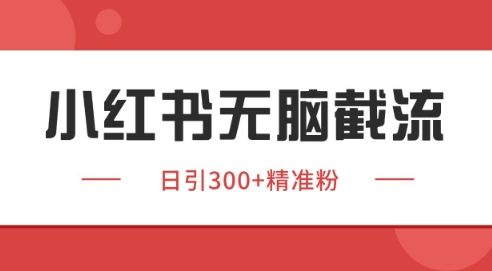 小红书截流同行客源，独家野路子获客玩法 日引200+暴力获客【揭秘】-小艾网创