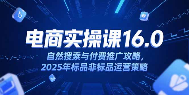 淘宝电商运营课16.0，自然搜索与付费推广攻略，2025年标品非标品运营策略-小艾网创