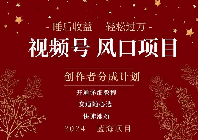 拥有睡眠收益的微信视频号大风口项目，轻松月入过万+，多赛道选择，可…-小艾网创