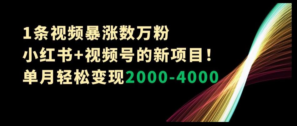 1条视频暴涨数万粉–小红书+视频号的新项目！单月轻松变现2000-4000【揭秘】-小艾网创
