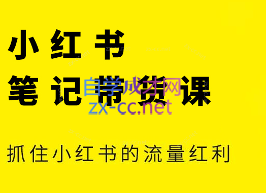 张宾·小红书笔记带货课(更新9月)-小艾网创