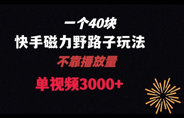 一个40块，快手联合美团磁力新玩法，无视机制野路子玩法，单视频收益4位数【揭秘】-小艾网创