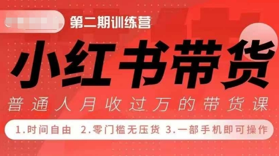 小Red书带货42天训练营 2.0版，宝妈+自由职+上班族+大学生，提高副业收入的大红利项目-小艾网创