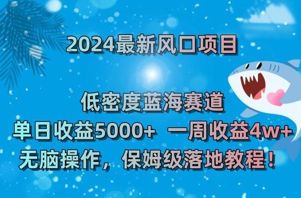 2024最新风口项目，低密度蓝海赛道，单日收益5000+，一周收益4w+！【揭秘】-小艾网创