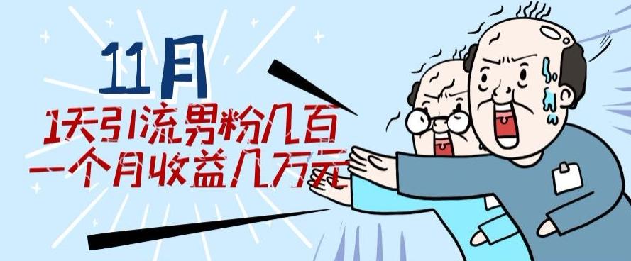 11月最新每天引流男粉300+一个月收益几万元-小艾网创