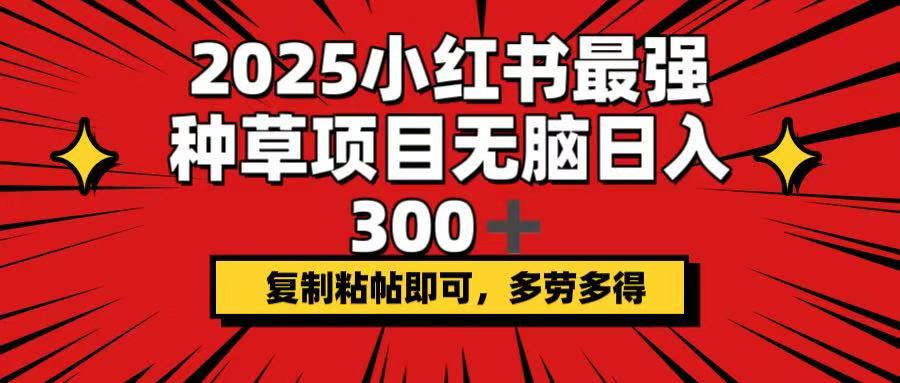 2025小红书最强种草项目，无脑日入300+，复制粘帖即可，多劳多得-小艾网创