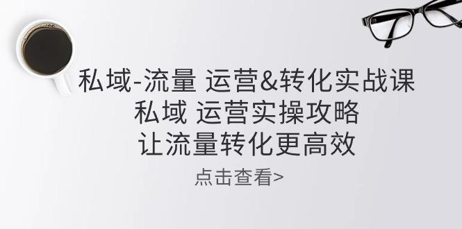 私域-流量 运营&转化实操课：私域 运营实操攻略 让流量转化更高效-小艾网创